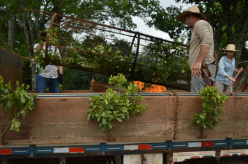 Foto - Centenário da Colonização de Santo Antônio
