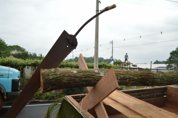 Foto - Centenário da Colonização de Santo Antônio