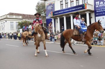 Foto - Desfile 20 de Setembro