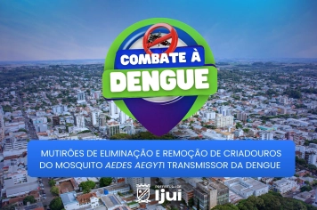 Mutirões de combate à Dengue