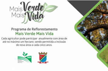 Executivo faz pagamento de subsídios do Programa Mais Verde Mais Vida amanhã