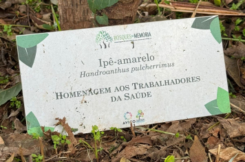 Bosque da Memoria foi inaugurado em Ijuí