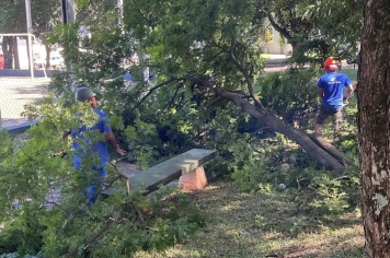 Bairro Jardim recebe arborização