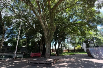 Praça dos Imigrantes tem Floresta de Bolso