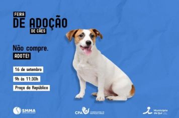 Sábado terá Campanha de Adoção de Cães na Praça da República