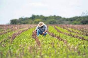 Do campo para a merenda!