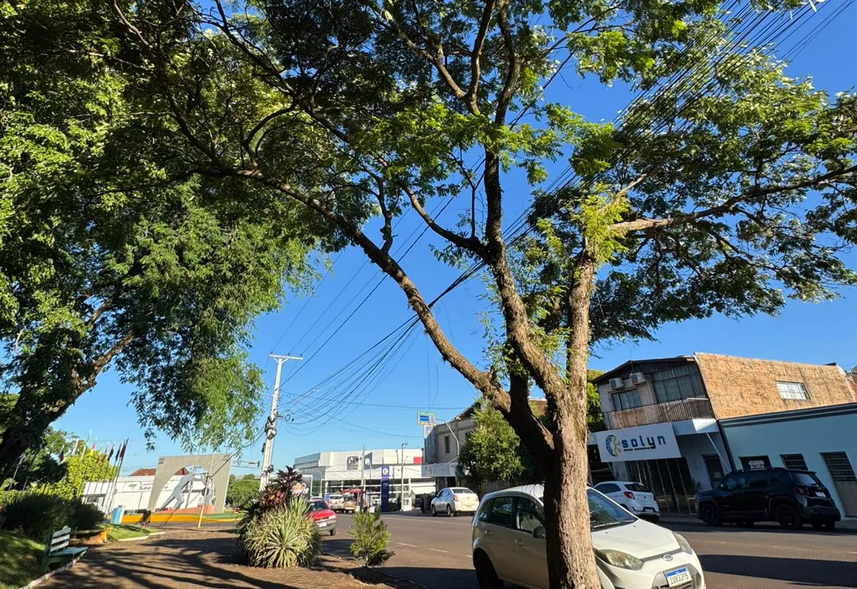 Praça dos Imigrantes recebeu trabalho de arborização