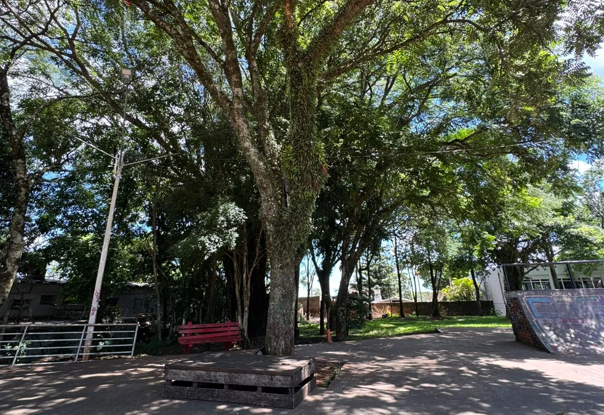 Praça dos Imigrantes tem Floresta de Bolso