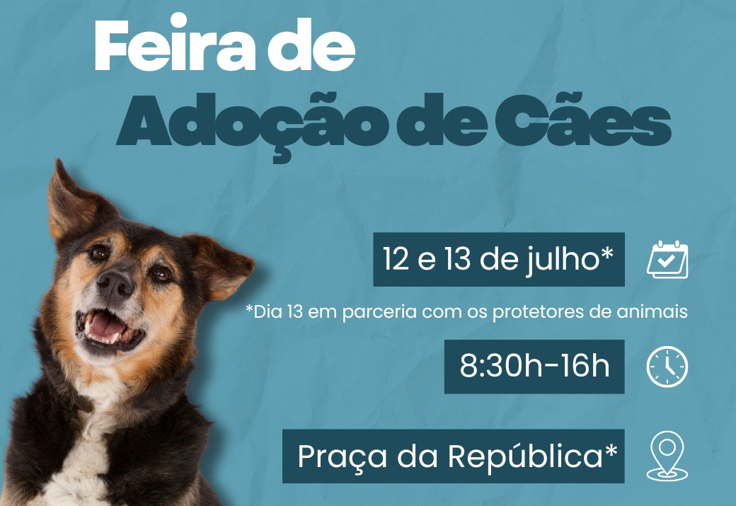 Feira de Adoção de Cães ocorre neste final de semana em Ijuí
