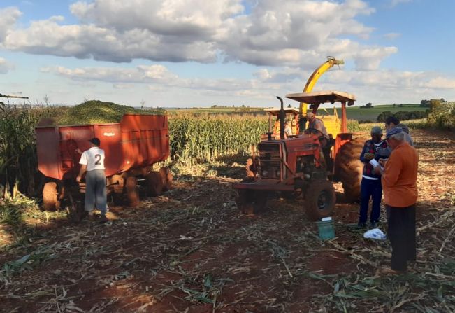 Aprendendo no campo!