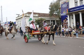 Foto - Desfile 20 de Setembro