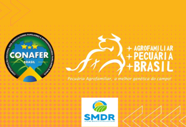 Desenvolvimento Rural lança chamada pública para produtores bovinos de corte e leite no município de Ijuí