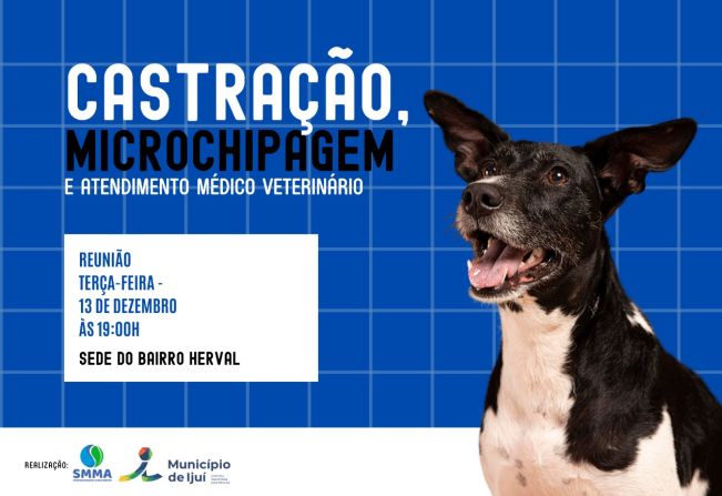 Cadastro de animais ocorre amanhã no bairro Herval